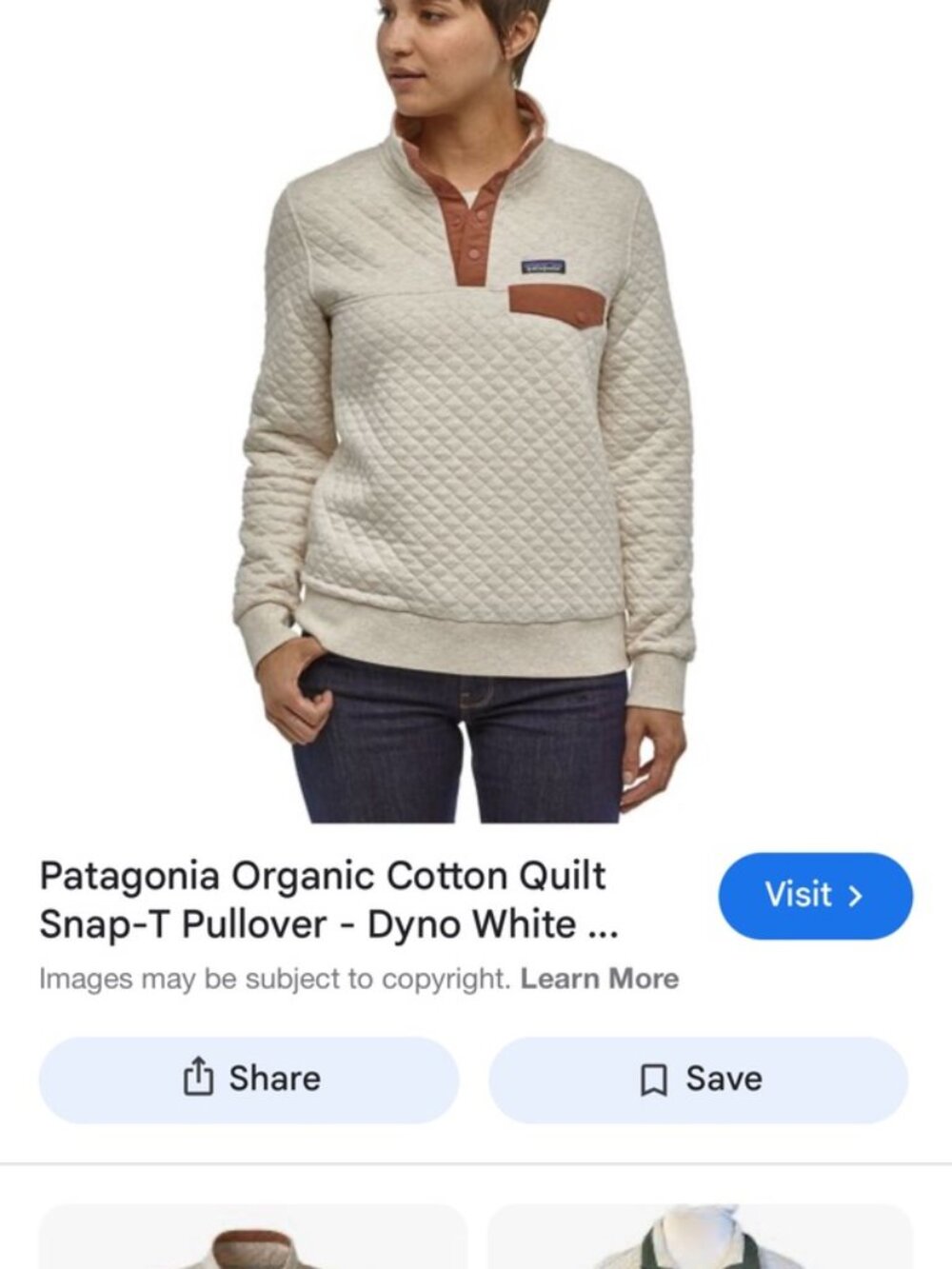Patagonia Organic Cotton Quilt Snap Pullover Small